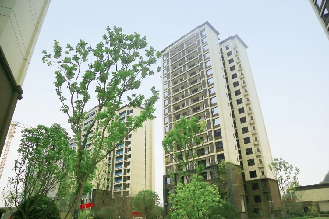 華邦保和項目案例-外墻膩子-大英金域香江